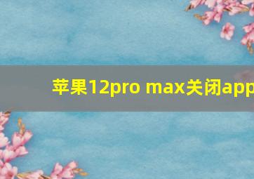 苹果12pro max关闭app